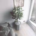 English  flower pot