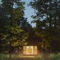 Forest cabin (night)