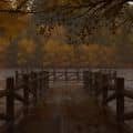 my dreamy fall