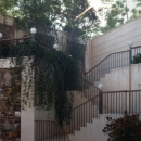 matin nargesi