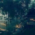 Forest cottage 