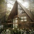 Forest cottage