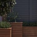 Roof Garden