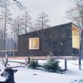 Swedish housing