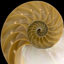Fibonacci_01