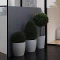 Summus Penthouse