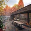 the autumn house 
