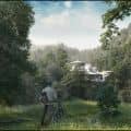 walk