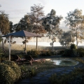 private garden