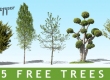 5 cut out trees