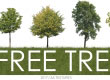 5 free cut trees by AA Textures