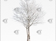 Cutout tree | Sycamore Maple