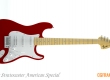 Fender Stratocaster 3d Model