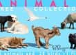 VIShopper cut out animals collection
