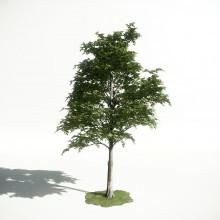 Tree 12 AM1 for CryEngine Archmodels