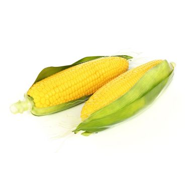 corn 6 AM130 Archmodels