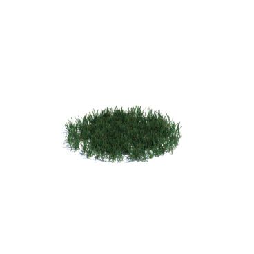 simple grass medium 17 AM126 Archmodels