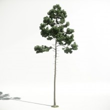 Tree 45 AM1 for CryEngine Archmodels