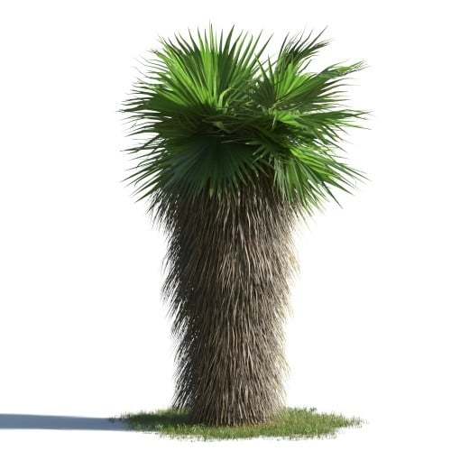 tree 69 AMC1