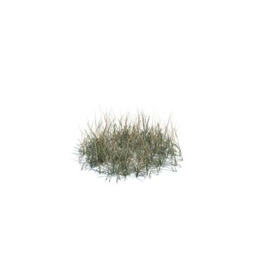  simple grass medium 137 AM124 Archmodels