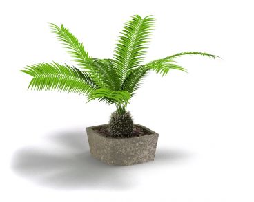 Plant 54 AM4 for Cinema4D Archmodels