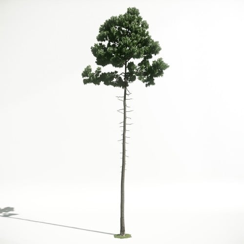 Tree 36 AM1 for CryEngine Archmodels
