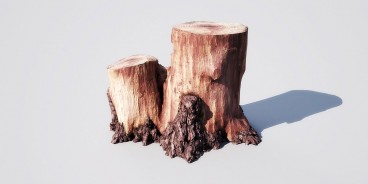 stump 14 2 AM148 Archmodels