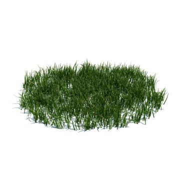 simple grass large 108 AM124 Archmodels