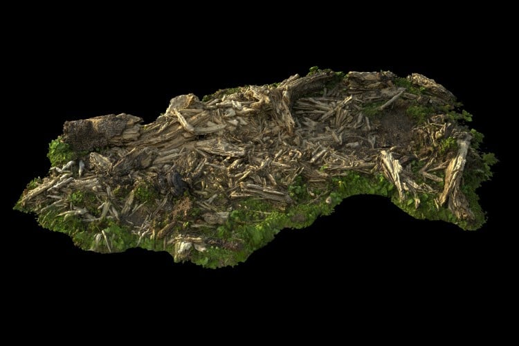 18 forest element 