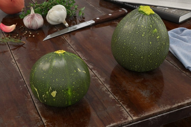 Food 43 AM170 Archmodels
