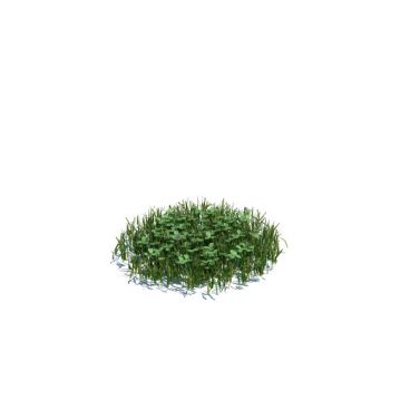 simple grass medium 116 AM124 Archmodels