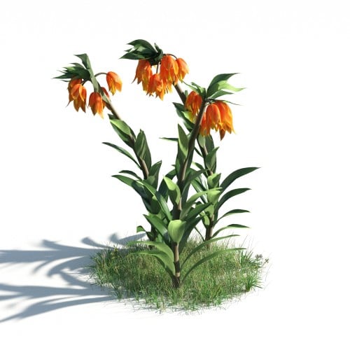 plant 22 AM183 Archmodels