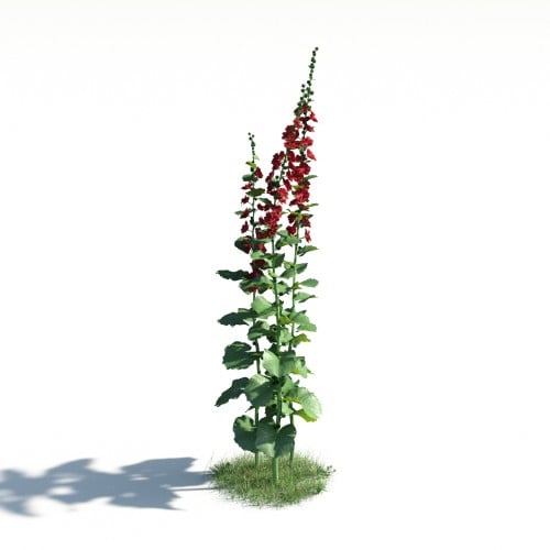 plant 2 AM183 Archmodels