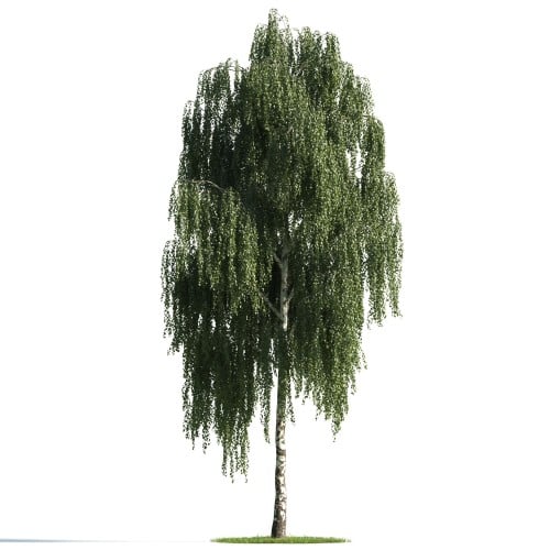 Tree 12 AM176 Archmodels