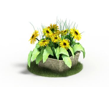 Plant 60 AM4 for Cinema4D Archmodels
