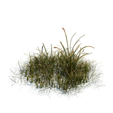 simple grass 45 AM124 Archmodels