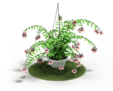 Plant 52 AM4 for Cinema4D Archmodels