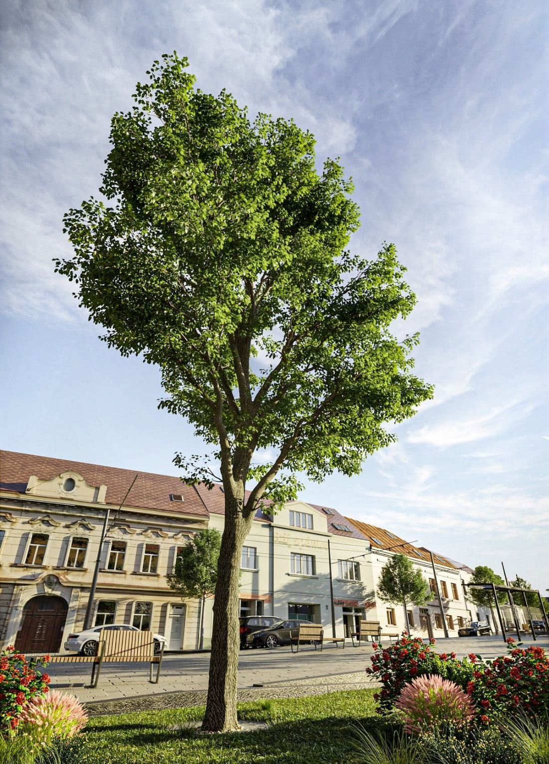 2204_BQ64-3-5_namesti_Almy_Rose_Jihlava_02_B_crop_1206_1