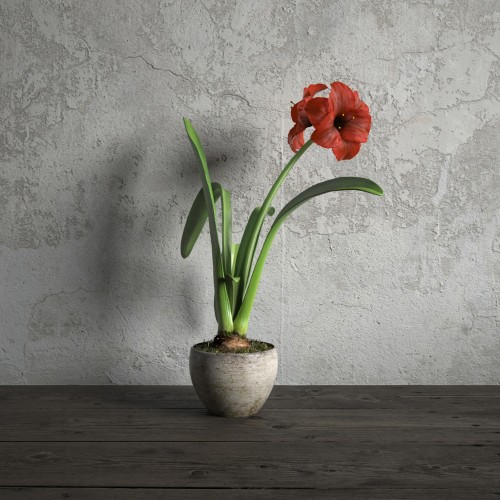 plant 6 AM173 Archmodels
