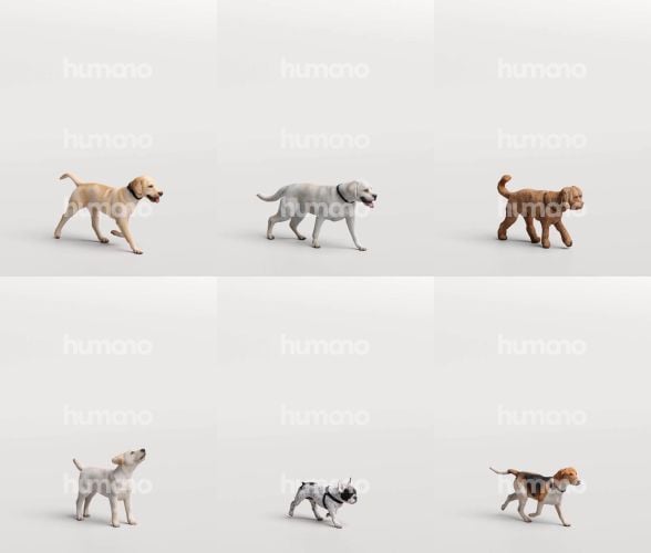 2_Humano_2605-People_with_dogs_2