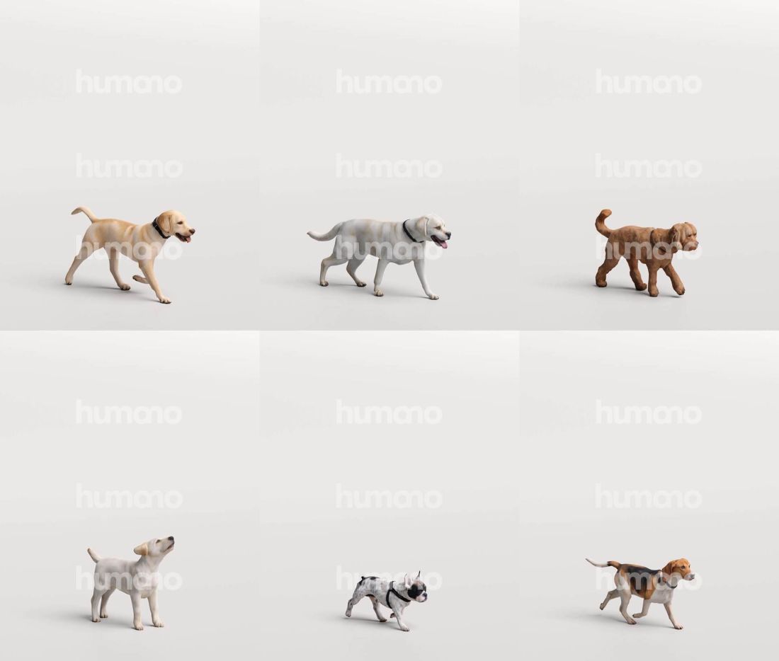 2_Humano_2605-People_with_dogs_2