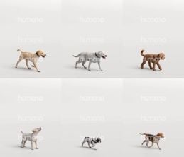2_Humano_2605-People_with_dogs_2