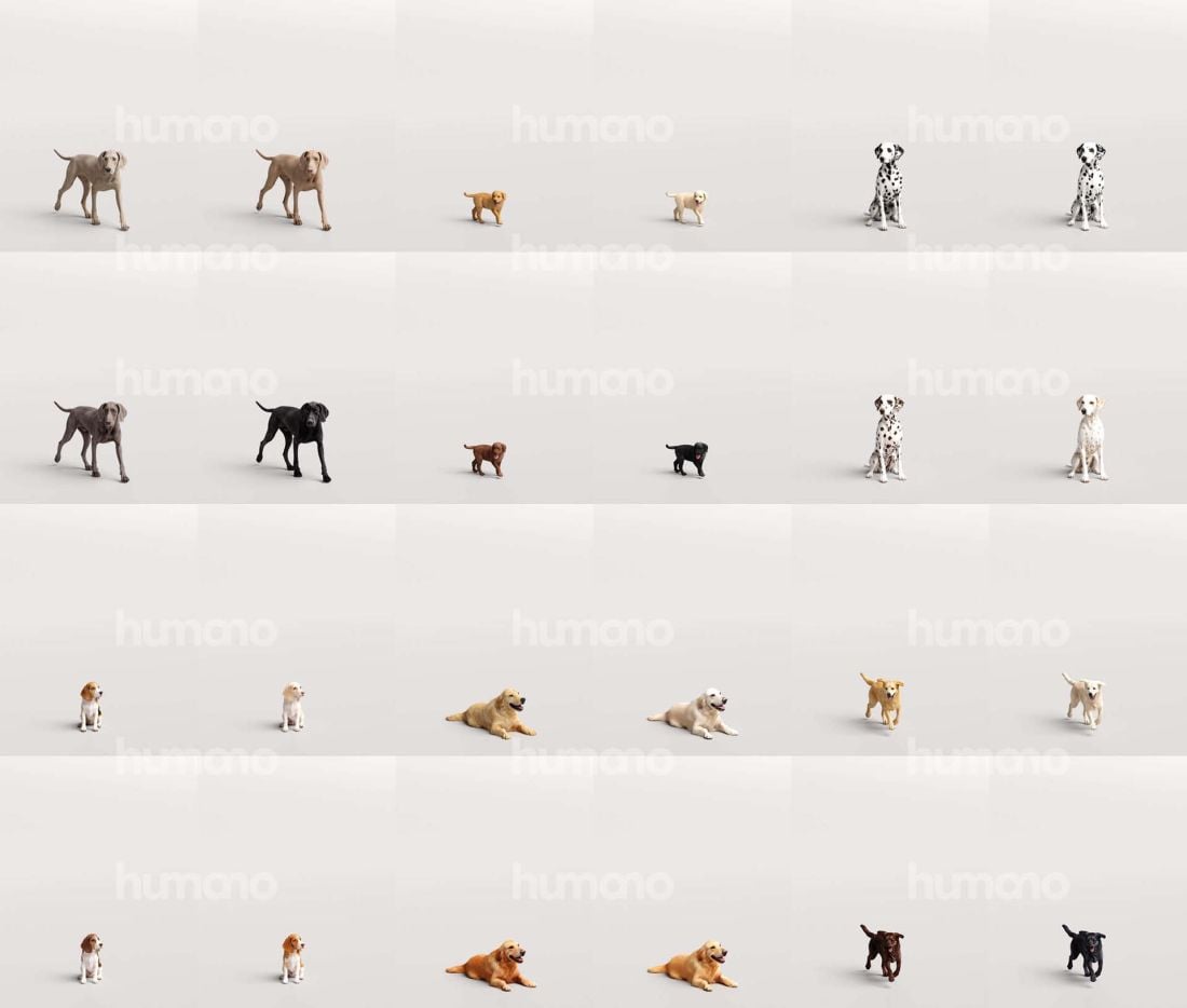 2_Humano_2711_Pets_zestawienie_modeli_1