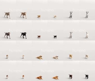2_Humano_2711_Pets_zestawienie_modeli_1