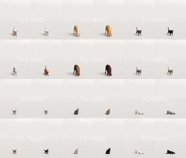 2_Humano_2711_Pets_zestawienie_modeli_2