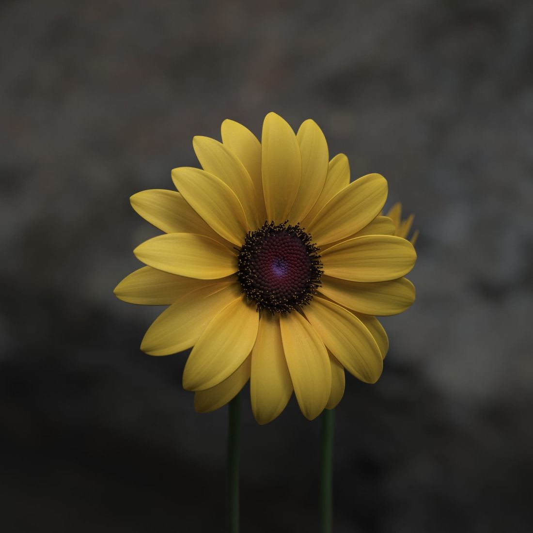 2aa