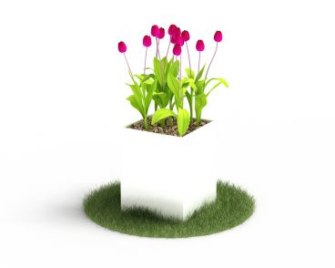 Plant 62 AM4 for Cinema4D Archmodels