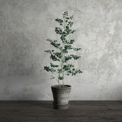 plant 27 AM173 Archmodels