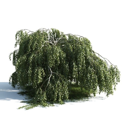 Tree 7 AM176 Archmodels