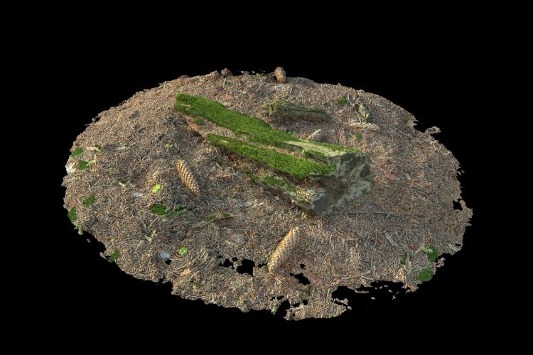 14 forest element